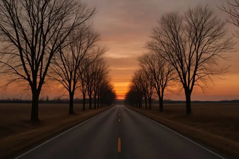 Road in between a line of bare trees leading to an orange and grey sunset.